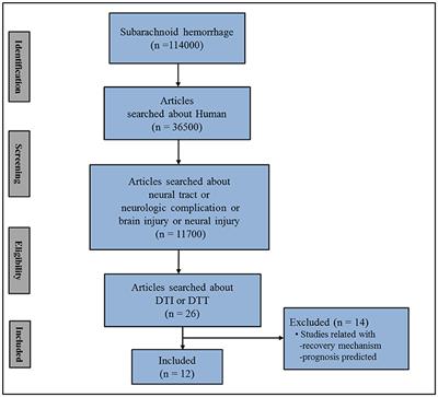 Diffusion Tensor Imaging Studies on Spontaneous Subarachnoid Hemorrhage-Related Brain Injury: A Mini-Review